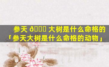参天 🐟 大树是什么命格的「参天大树是什么命格的动物」